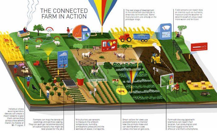 Teknologi agrikultur pintar