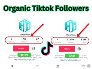 Tiktok Followers Com